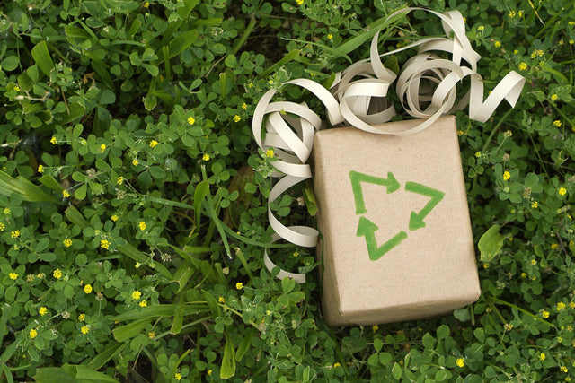 The Role of Eco-Friendly Packaging in Zero-Waste Initiatives