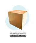 carton-box-c2-size-packink